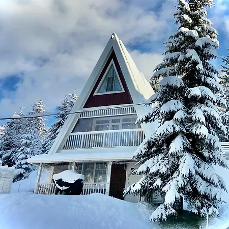 Freeman - цілий триповерховий будинок з альтанкою та грилем для 10гостей Bukovel