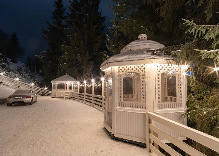 Freeman-3 триповерховий будинок для 10гостей Chalet
