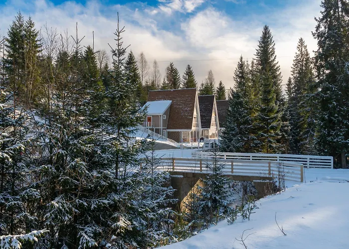 Freeman-3 триповерховий будинок для 10гостей Chalet *