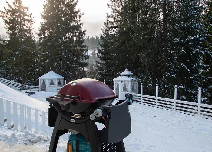 Chalet Freeman-3 триповерховий будинок для 10гостей *